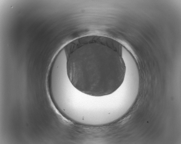 X0000070190999200606232008