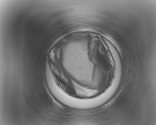 X0000070191001200606232008