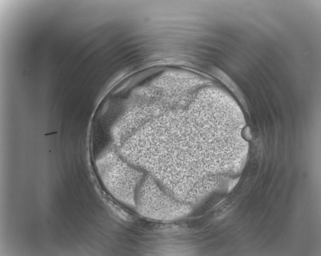 X0000070191002200606232008