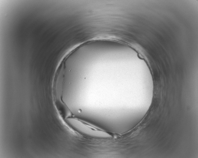 X0000070191003200606232008