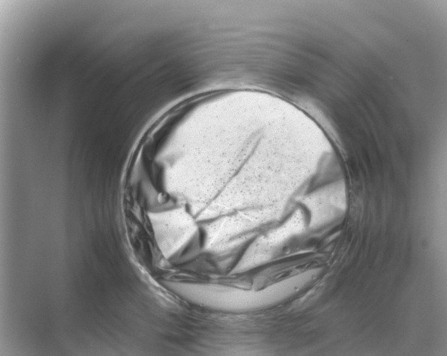 X0000070191004200606232008