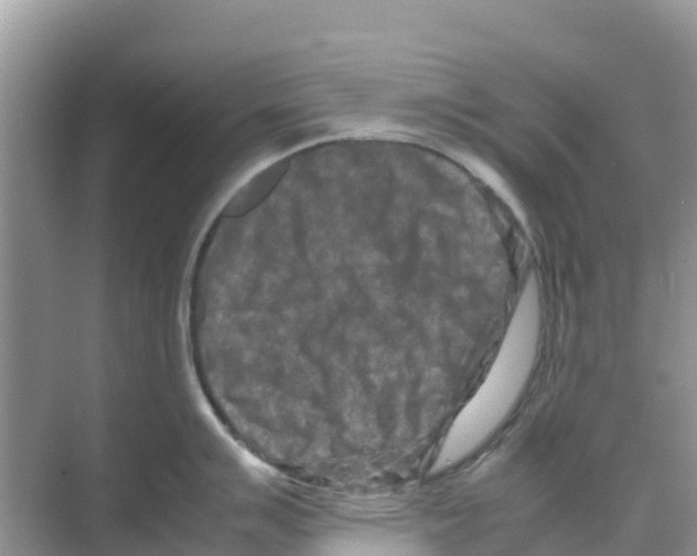 X0000070191007200606232008