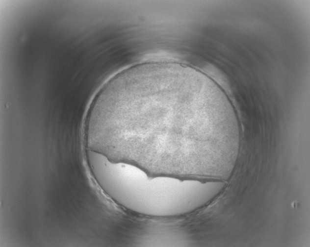 X0000070191008200606232008