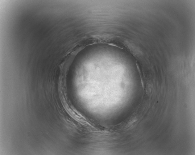 X0000070191010200606232007