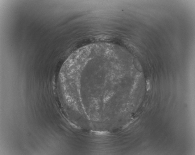 X0000070191011200606232007