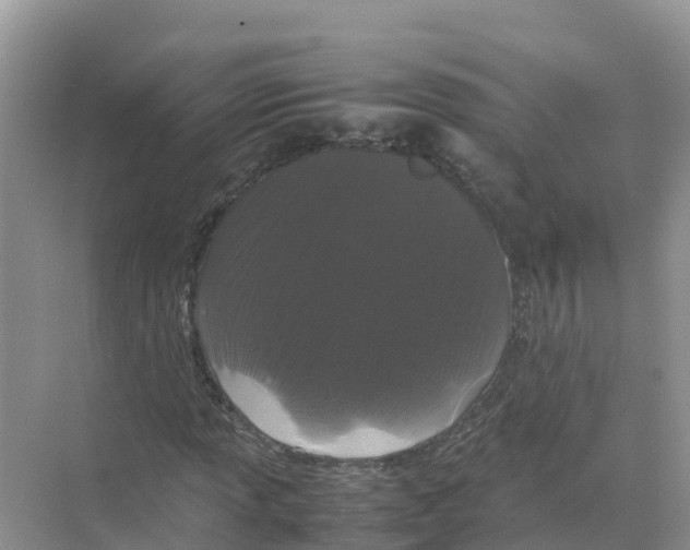 X0000070191013200606232007