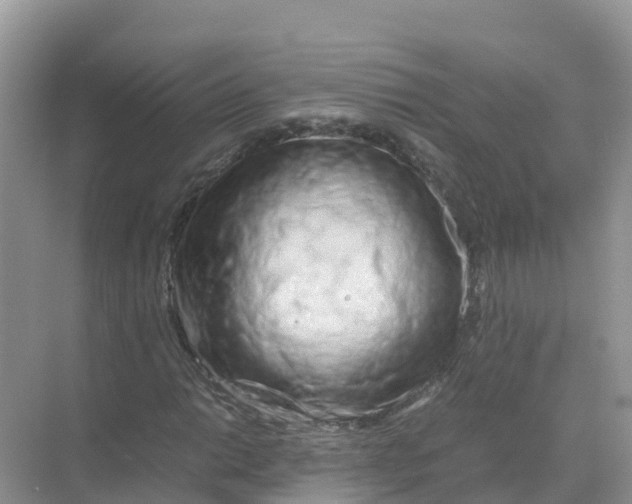 X0000070191014200606232007