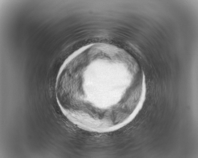 X0000070191015200606232007