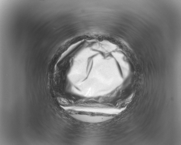 X0000070191016200606232007