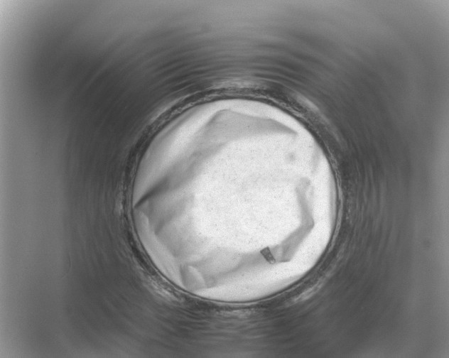 X0000070191017200606232007