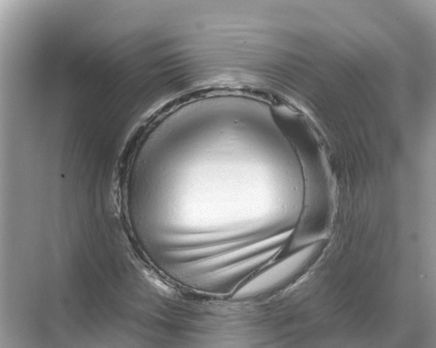 X0000070191018200606232007