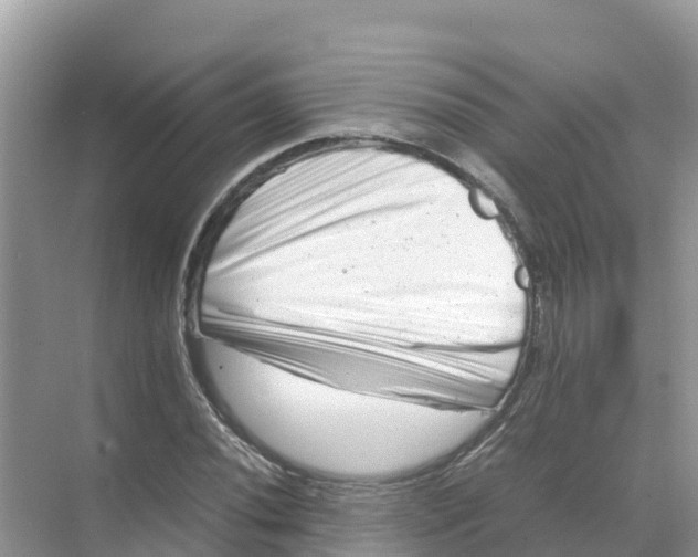 X0000070191020200606232007