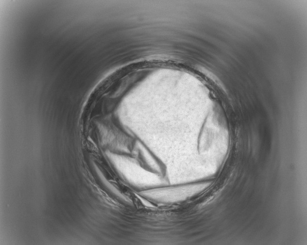 X0000070191021200606232007