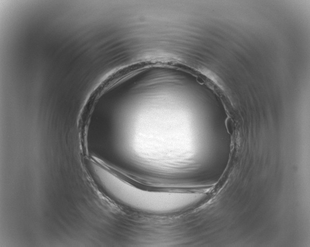 X0000070191022200606232007