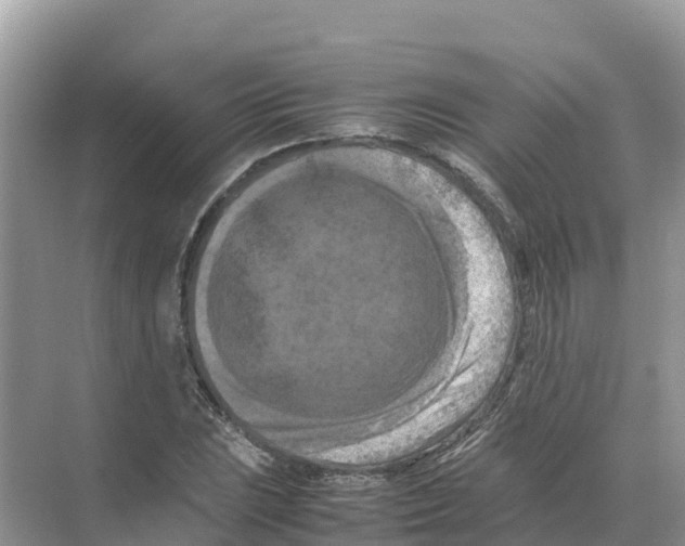 X0000070191023200606232007