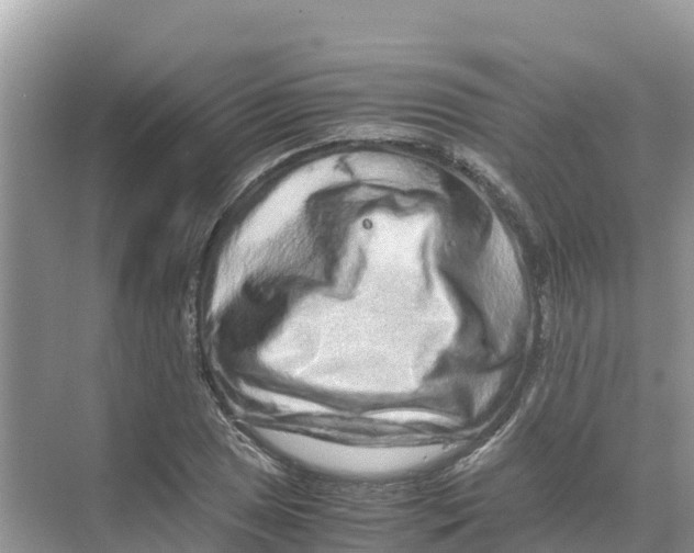 X0000070191025200606232007