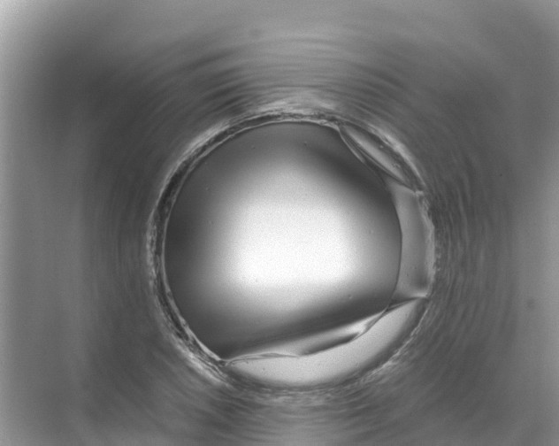 X0000070191026200606232007