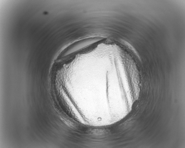 X0000070191027200606232007