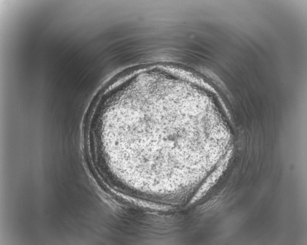 X0000070191031200606232007