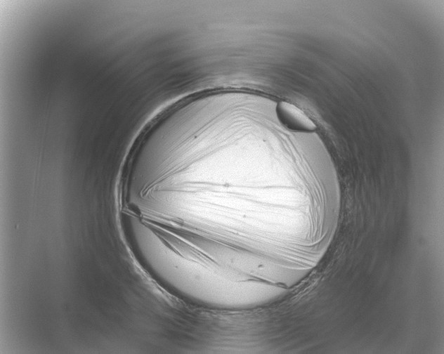 X0000070191032200606232007