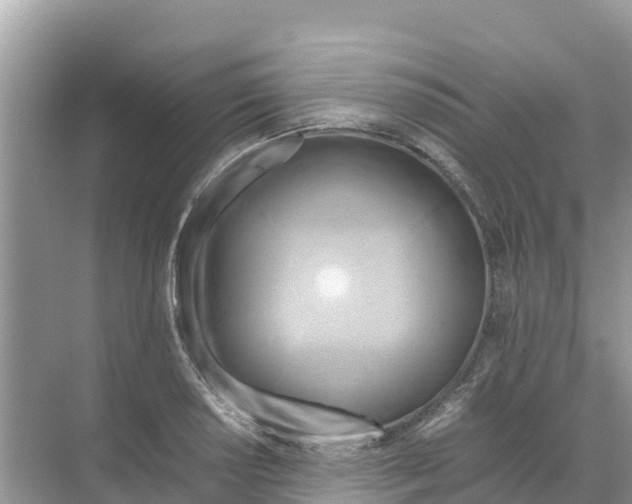 X0000070191034200606232007