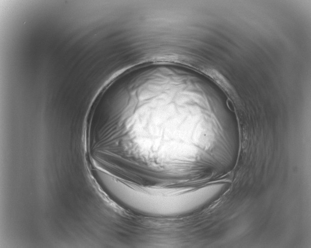 X0000070191036200606232007