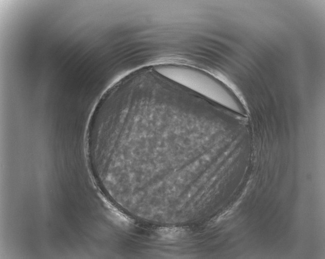 X0000070191037200606232007