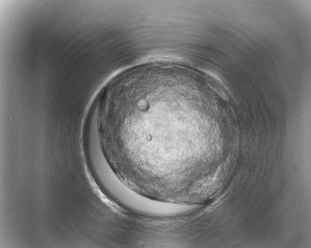 X0000070191038200606232007