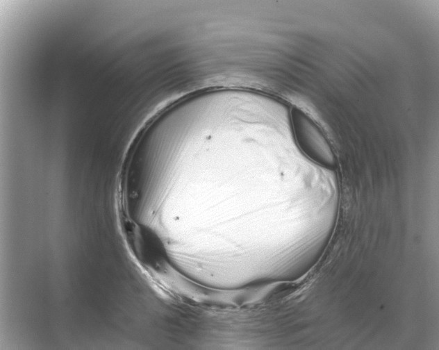 X0000070191040200606232007