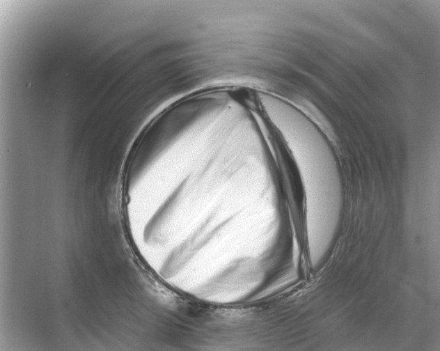 X0000070191044200606232007