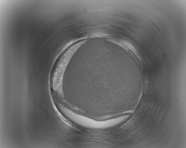 X0000070191047200606232007