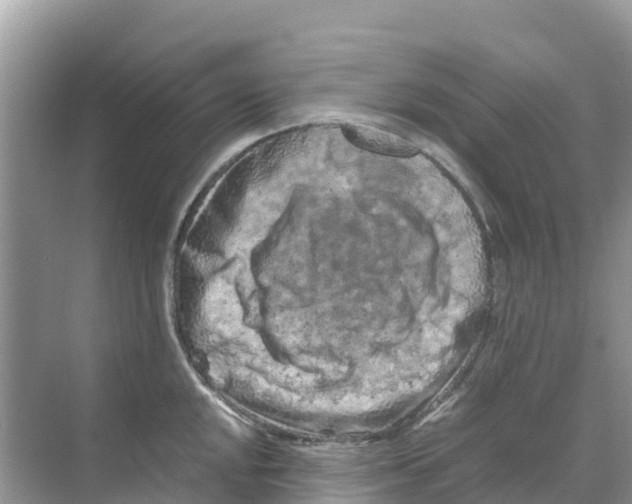 X0000070191048200606232007