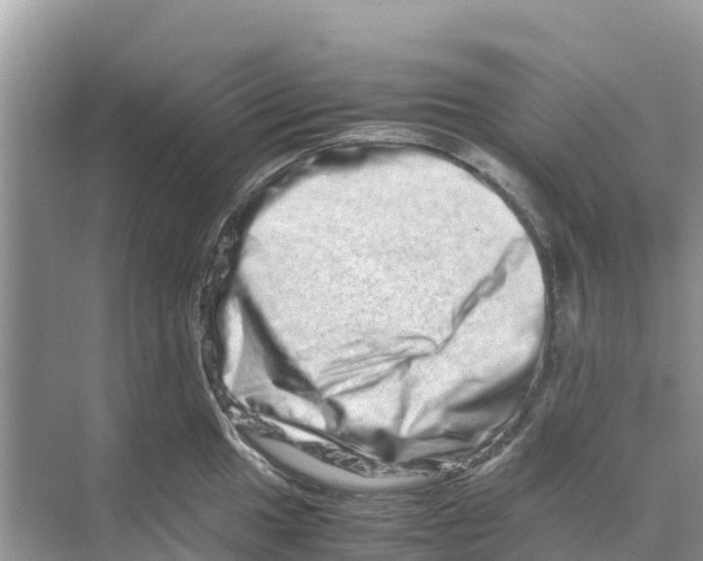 X0000070191049200606232007