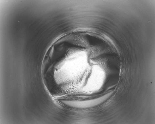 X0000070191050200606232007