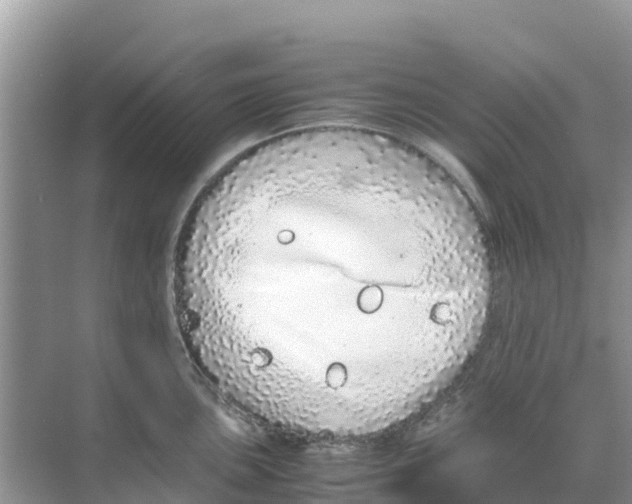 X0000070191051200606232007