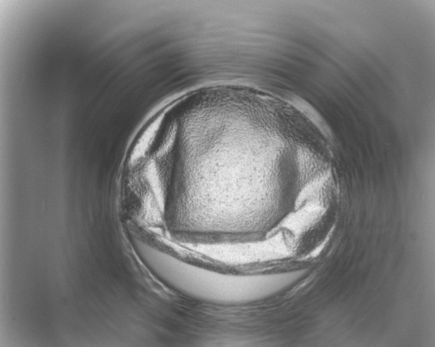 X0000070191052200606232007