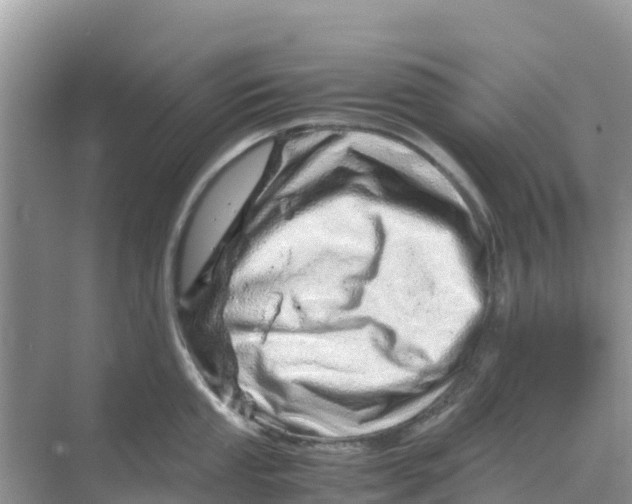 X0000070191053200606232007