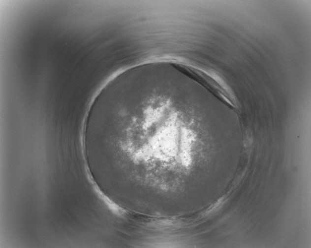 X0000070191054200606232008