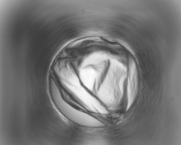 X0000070191056200606232008