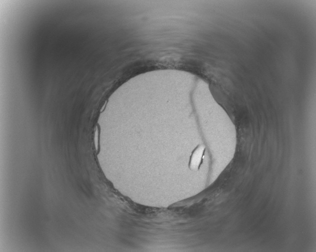 X0000070191057200606232007