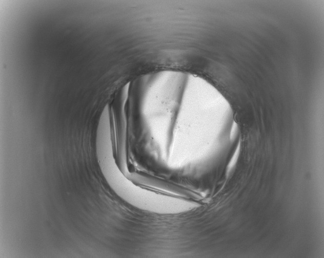 X0000070191058200606232007