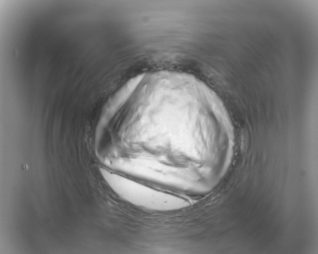 X0000070191059200606232007