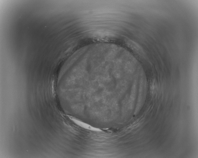 X0000070191060200606232007