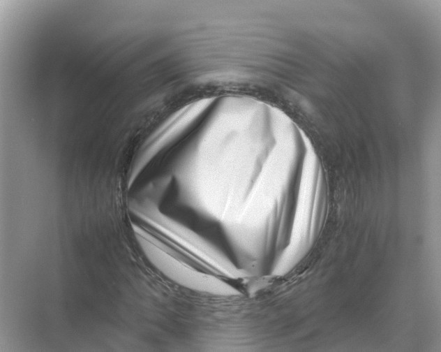 X0000070191062200606232007