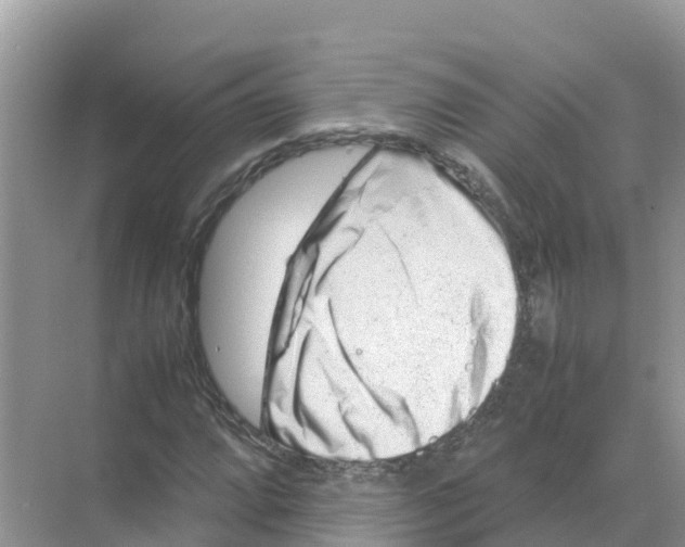 X0000070191064200606232007