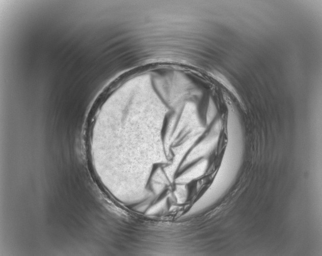 X0000070191068200606232007