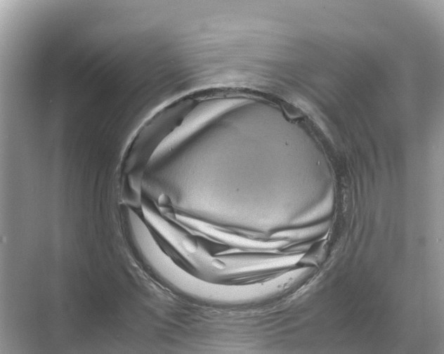 X0000070191069200606232007