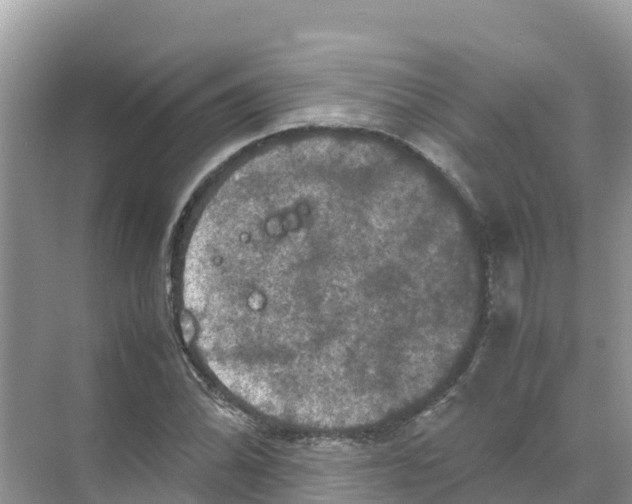 X0000070191070200606232007