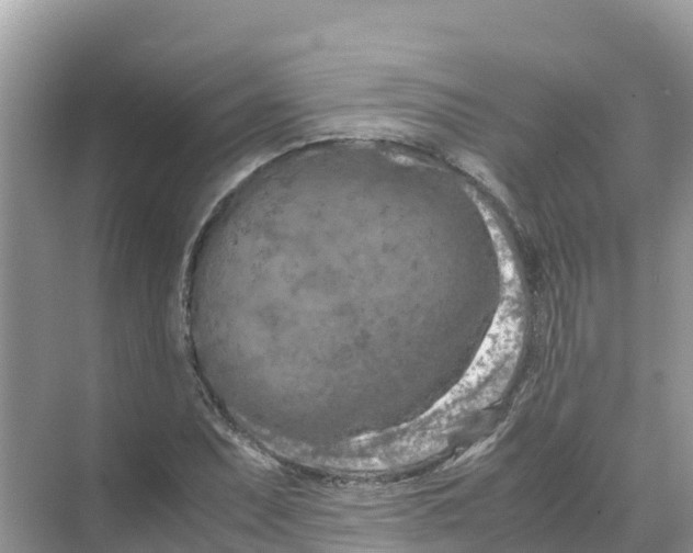 X0000070191071200606232007