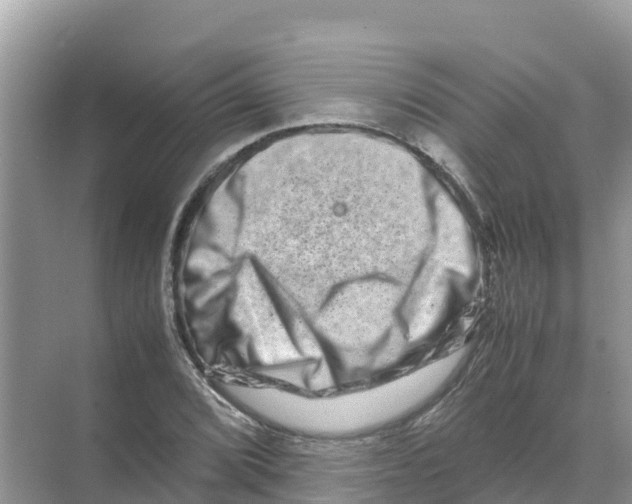 X0000070191072200606232006